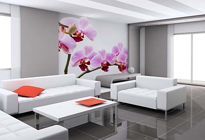 Fototapeta Orchid  bloom 24831